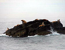 Canada-British Columbia-West Coast Trail - backpacking